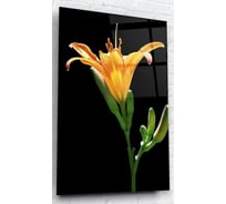 Картина на стекле ARTABOSKO лилия 40x60 WBR-02-144-04