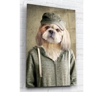 Картина на стекле ARTABOSKO собачка в одежде 40x60 WBR-01-69-04