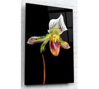 Картина на стекле ARTABOSKO орхидея 40x60 WBR-02-145-04