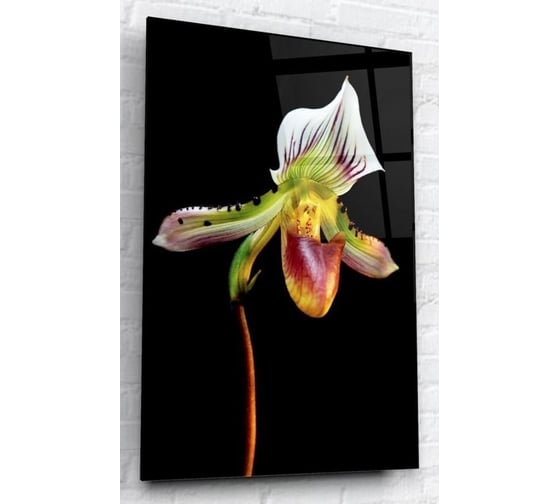 Картина на стекле ARTABOSKO орхидея 40x60 WBR-02-145-04