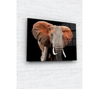 Картина на стекле ARTABOSKO слон 60x80 WBR-11-636-06