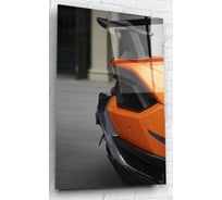 Картина на стекле ARTABOSKO фурия 16 40x60 WBR-10-576-04