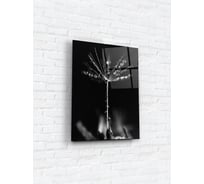 Картина на стекле ARTABOSKO роса 1 30x40 см WBR-04-1216-02