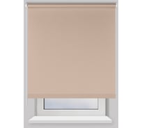 Рулонная штора PRAKTO Easy 65x250 см, серый 8317000