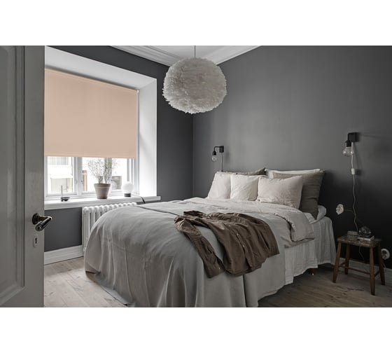 Рулонная штора PRAKTO Easy 90x160 см, серый 8316928