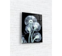 Картина на стекле ARTABOSKO рентген 2 30x40 см WBR-11-703-02