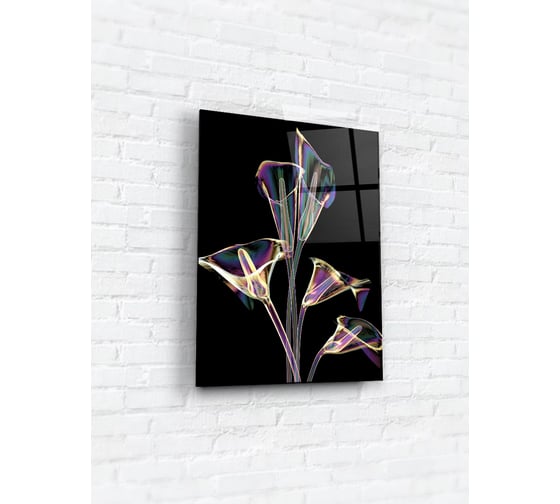 Картина на стекле ARTABOSKO рентген 4 30x40 см WBR-11-705-02 1