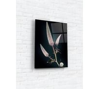 Картина на стекле ARTABOSKO рентген 3 30x40 см WBR-11-704-02