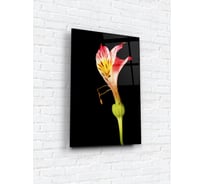 Картина на стекле ARTABOSKO альстромерия 40x60 см WBR-02-146-04