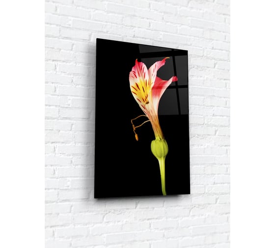 Картина на стекле ARTABOSKO альстромерия 40x60 см WBR-02-146-04 1