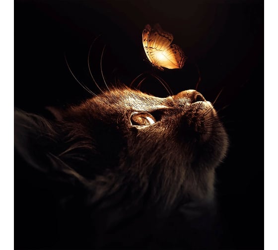 Картина на стекле ARTABOSKO Кот с бабочкой 40x40 WBR-06-123-03 1