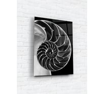Картина на стекле ARTABOSKO наутилус 2 60x80 WBR-12-1143-06