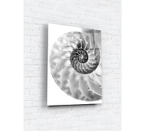 Картина на стекле ARTABOSKO наутилус 1 60x80 WBR-12-1142-06