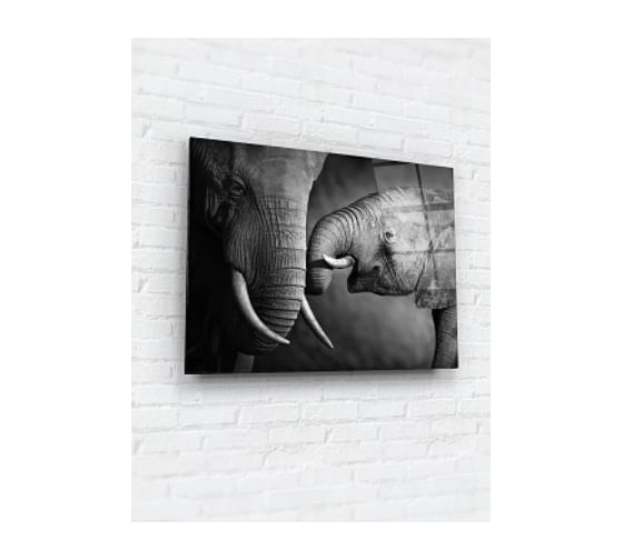 Картина на стекле ARTABOSKO семейство слонов 60x80 WBR-02-782-06 1