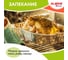 Алюминиевая форма для выпечки и хранения LAIMA с крышкой, 870 мл, комплект 50 шт, 217x113 мм 607800 2