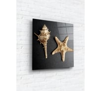 Картина на стекле ARTABOSKO ракушки 1 40x40 WBR-01-865-03