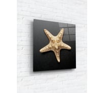 Картина на стекле ARTABOSKO ракушки 2 40x40 WBR-01-866-03