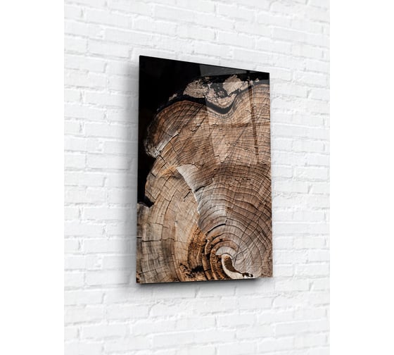 Картина на стекле ARTABOSKO срез дерева 1 40x60 WBR-1268-02-04