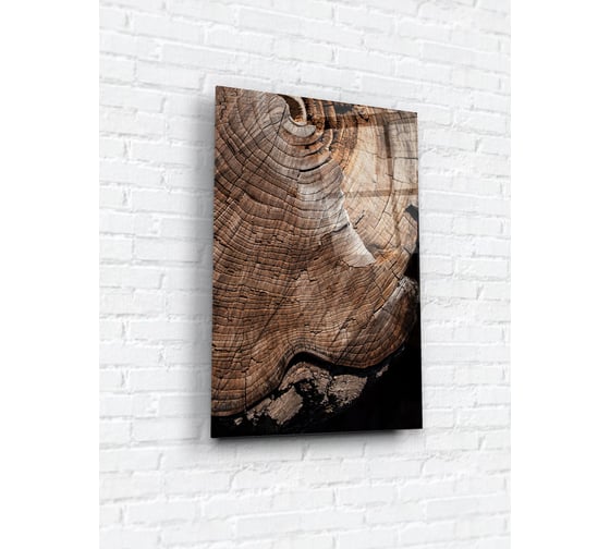 Картина на стекле ARTABOSKO срез дерева 2 40x60 WBR-1269-02-04