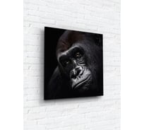 Картина на стекле ARTABOSKO обезьяна 40x40 WBR-02-60-03