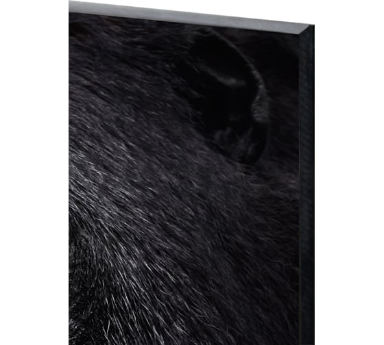 Картина на стекле ARTABOSKO обезьяна 40x40 WBR-02-60-03