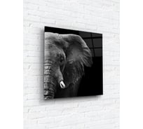 Картина на стекле ARTABOSKO слон 40x40 WBR-02-61-03