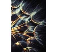 Картина на стекле ARTABOSKO одуванчик 40x60 OM-02-55-04