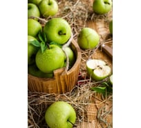 Картина на стекле ARTABOSKO яблоки 40x60 ED-03-87-04