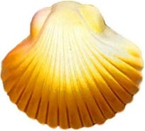 Волшебная ракушка с животным внутри Beroma 07829040