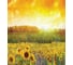 Комплект тканевых салфеток для сервировки стола JOYARTY "подсолнухи на рассвете", 32x46 см, 4 шт. np_14832 3