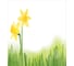 Комплект тканевых салфеток для сервировки стола JOYARTY "июльская радость", 32x46 см, 4 шт. np_16650 3