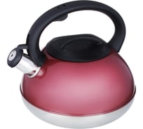 Стальной чайник VETTA Роншан, 3 л, индукция 847-096