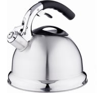 Стальной чайник VETTA Вена 3.0 л, зеркальный, индукция 847-009