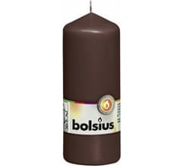 Свеча-столбик Bolsius 120х60 мм, темно-бордовая 103614390128