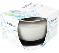Свеча в стекле Bolsius 50х80 мм, белый чай и мята 101925256713