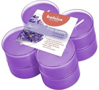 Чайные свечи Bolsius кор. 8 шт., 8 часов, лаванда 101925221877