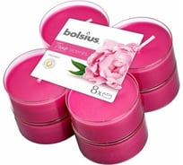 Чайные свечи Bolsius кор. 8 шт., 8 часов, пион 101925221862