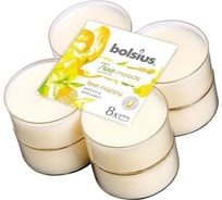 Чайные свечи Bolsius кор. 8 шт., 8 часов, манго и бергамот 101925221812