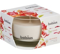 Свеча в стекле Bolsius 63х90 мм, грейпфрут и имбирь 101926170484