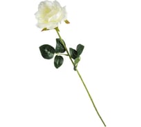 Цветок Волшебная страна Роза 003841