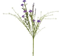 Полевые цветы Волшебная страна Васильки васильковые 004235