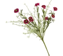 Полевые цветы Волшебная страна Ноготки красные 004231