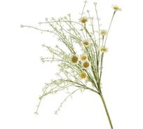 Полевые цветы Волшебная страна Ромашки белые 004232