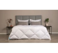 Одеяло Askona Silver Goose RETAIL 140x205 1aa0073d87239ede6eec73995ee51d16