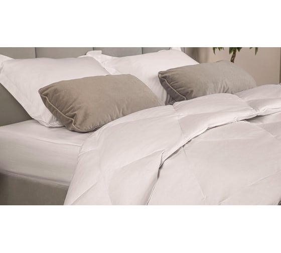 Одеяло Askona Silver Goose RETAIL 140x205 1aa0073d87239ede6eec73995ee51d16
