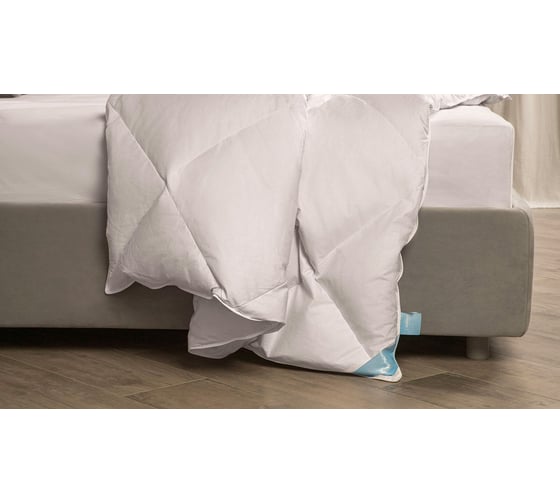 Одеяло Askona Silver Goose RETAIL 140x205 1aa0073d87239ede6eec73995ee51d16