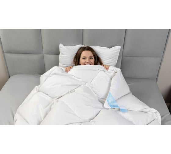 Одеяло Askona Silver Goose RETAIL 140x205 1aa0073d87239ede6eec73995ee51d16