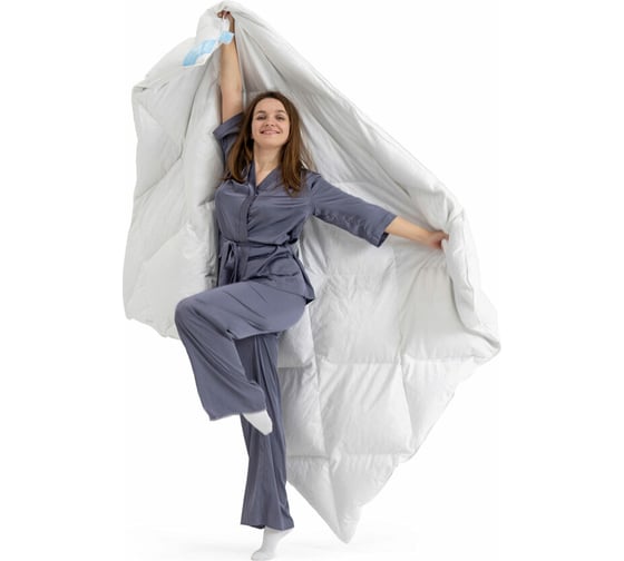 Одеяло Askona Silver Goose RETAIL 140x205 1aa0073d87239ede6eec73995ee51d16