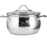 Кастрюля Lara серия APPLE нержавеющая сталь, 28x15 см, 9.2 л, стальные ручки, капсулир индукционное дно, крышка LR02-361 1