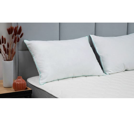 Анатомическая подушка Askona Comfort Goose RETAIL 50x70 0800e72607d460f770517bd510ce509a